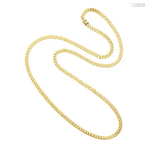 Long Gold Curb Link Chain Necklace