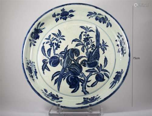 Blue-and-white parrot dish of the Ming Dynasty