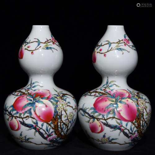 Pastel live lines bottle gourd, high diameter of 12.5 19.5,