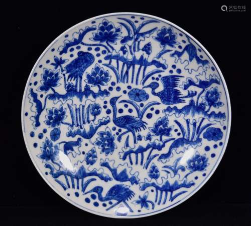 In blue and white cranes tray 3 * 16 m