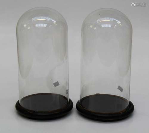 A pair of taxidermists glass domes, each on wood plinth and ...