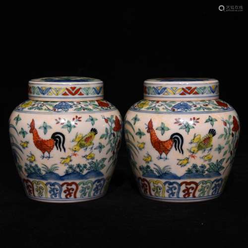 Chenghua bucket color word pot 10.5 x10 chicken on day