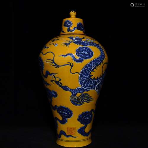 Yellow and blue dragon mei bottles of 48 x27