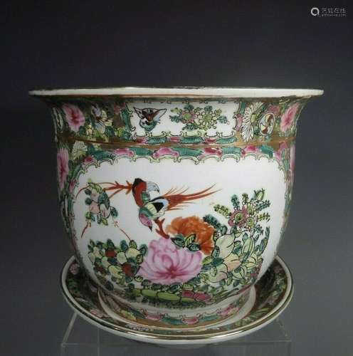 China Chinese Canton Rose Enamel Porcelain Jardiniere & ...