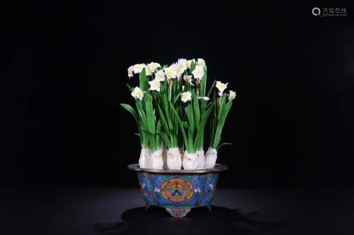 : bone carving, daffodil bonsai (cloisonne bowl)Size: 39.5 c...