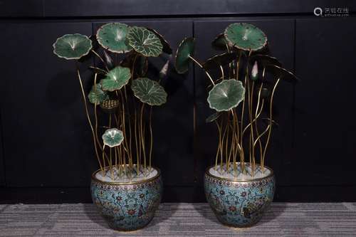 Lotus bonsai: copper tire wire inlay enamel pairHigh 83 cm d...