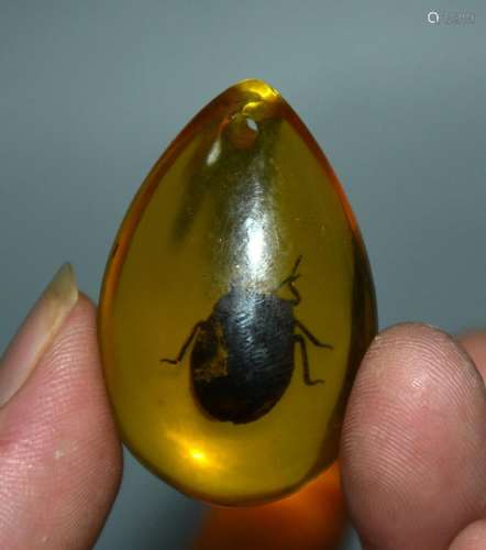 4.5CM Rare Chinese Yellow Amber Bedbug insect Amulet Pendant...