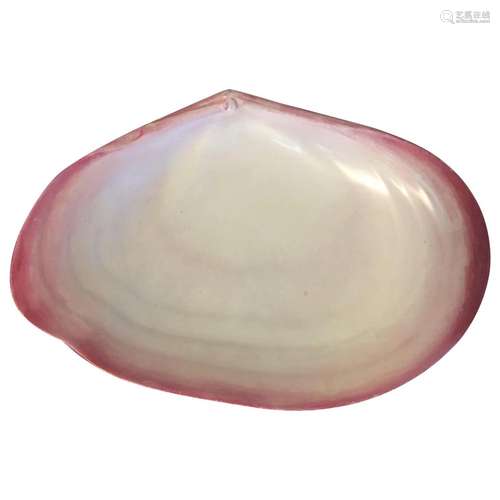 Antique 19th century Wedgwood Conchology Pink Pearlware Clam...