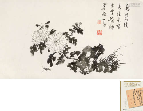 溥儒(1896-1963)　墨菊图  水墨纸本　镜心