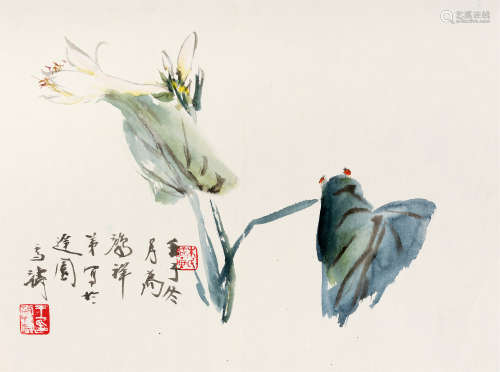 王雪涛(1903-1982)　玉簪花 1972年作 设色纸本　镜心