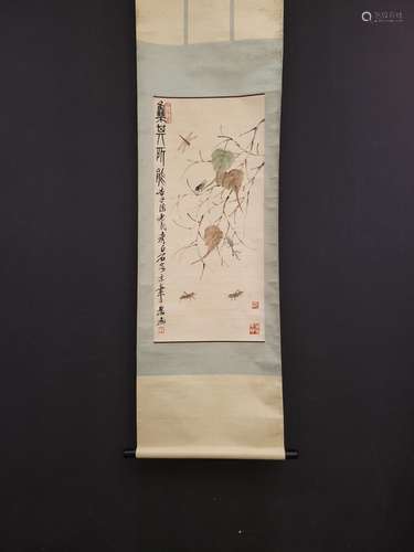 Qi baishi (cordyceps x96.3 heart size 43.8 cm