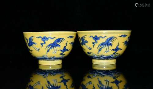 A Pair Chinese Blue and white Porcelain Handmade Exquisite C...