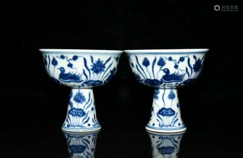 A Pair Chinese Blue and white Porcelain Handmade Mandarin Du...