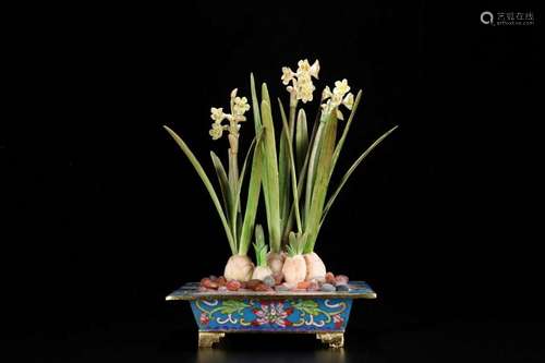 Old y "narcissus flower" cloisonne bonsai coloured...