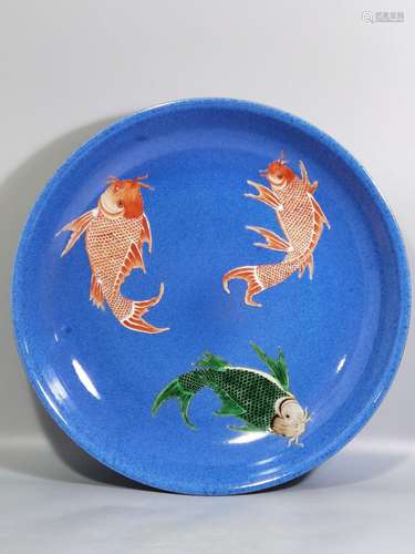 Late snow blue glaze fish algae disc diameter and high 7