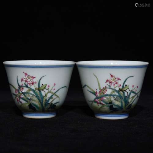 Pastel flowers lines cup, high caliber 6.5 4.8