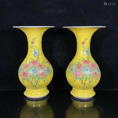 Chinese Enamel Colour Porcelain Handmade Exquisite a pair Va...