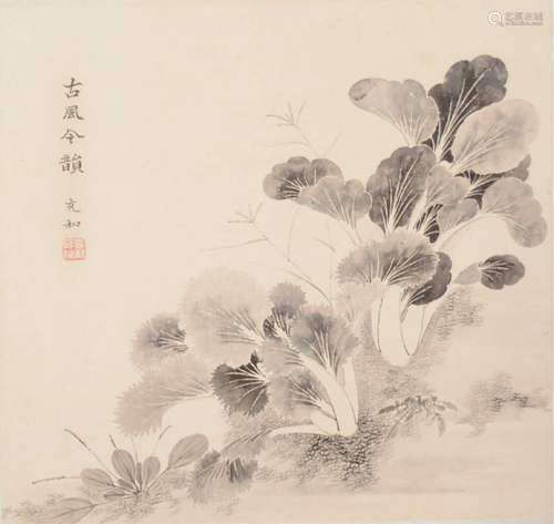 张充和 白菜小品 水墨纸本镜芯