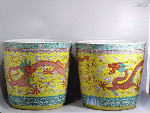 Late pastel yellow sea dragon playing in big bead flower pot...