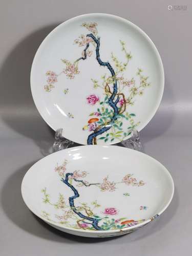 Pastel branch plum blossom plate of a diameter of 18.8 3.8