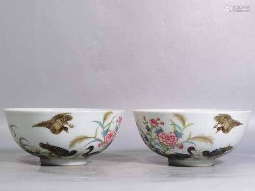 A pair of high caliber 13.4 6 colored enamel Lu Yan bowl