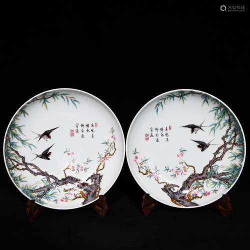 Pastel LiuYanWen dish, 4.3 cm high 20.8 cm in diameter