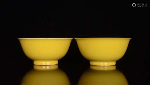 Lang shining as a lemon glaze colored enamel fruits and vege...