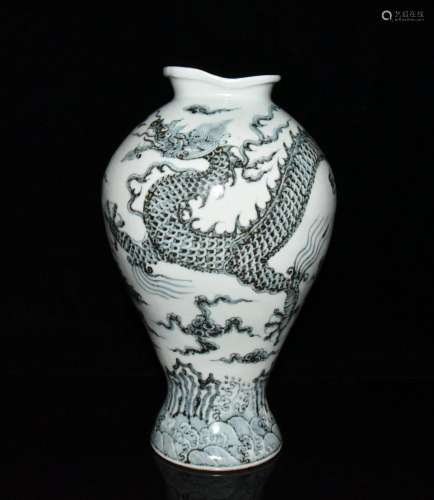 Blue and white dragon more fonts bian mei bottles of 33 x19c...