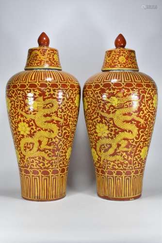 Red glaze and dragon in lotus pattern mei bottle56 cm diamet...