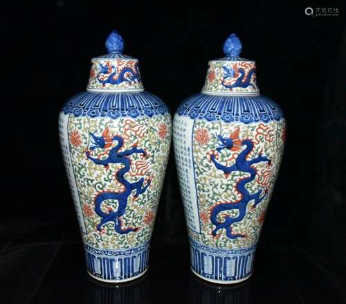 Wanli handicraftsmen mei bottles of a pair of 58 x25cm drago...