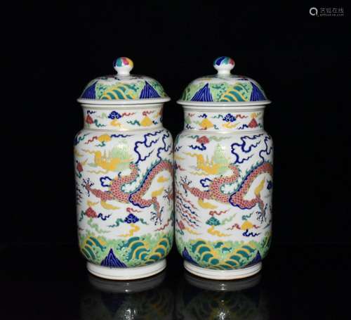 Colorful paint longfeng wen zhuang pot a pair of 31.5 x14.5 ...