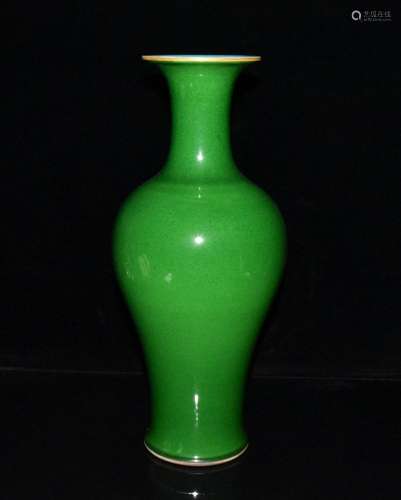 Apple green bottle ✘ cm1200 15.5 37.7