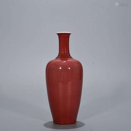 Cowpea red radish bottles 22 * 7 cm