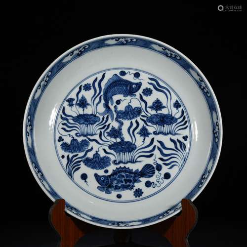 Blue and white fish and algae tray cm 7.5 * 43, 3000