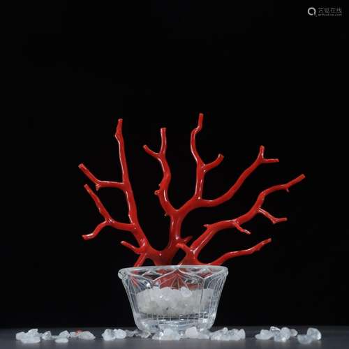 Acura old coral collocation crystal bowl furnishing articles...