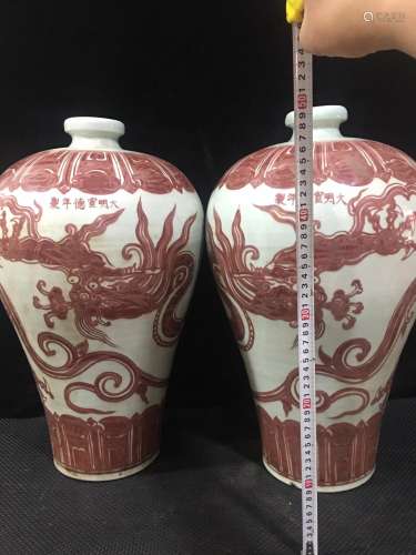 Red dragon big plum, hand-painted youligong bottles of a pai...