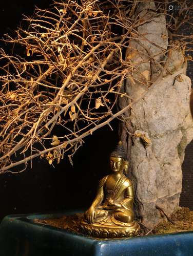 17th century officer Buddha had statues, copper tower covere...