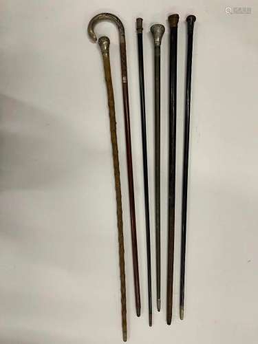 6 Walking Sticks incl. 1896 McKinley Handle etc