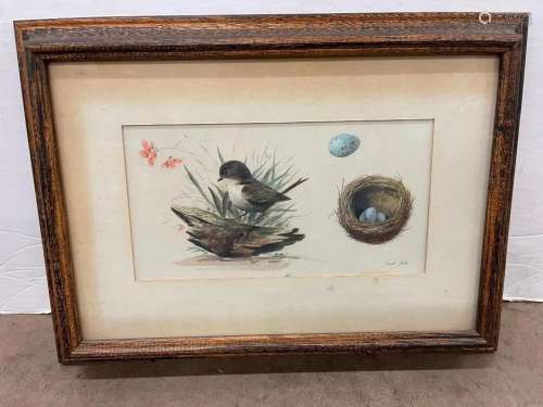 Paul Riba Watercolor of Bird & Nest w/ Eggs
