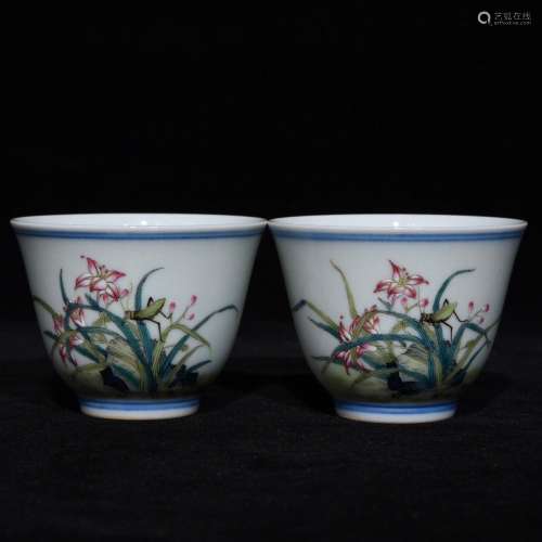 Pastel flowers lines cup, high caliber 4.8 6.5,