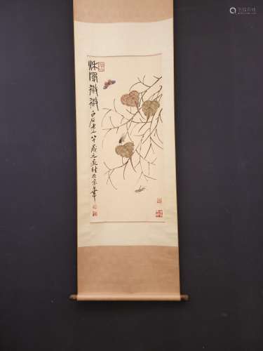 Qi baishi (cordyceps vertical x96.5 heart size 43.5 cm