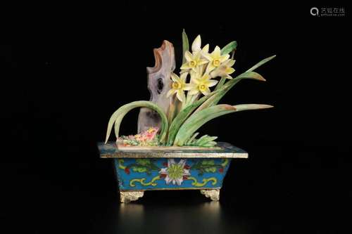 old tooth "Beijing workers miniascape of orchids" ...