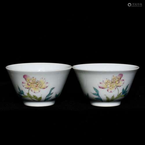 Pastel corn poppy cup, high caliber 4.6 8,