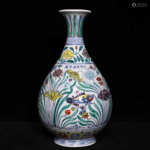 33.5 x18.5 colorful fish and algae grain okho spring bottle