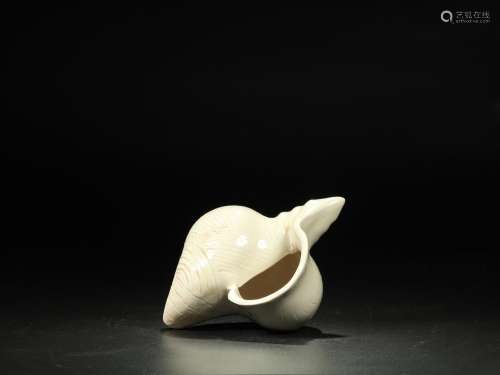 : water lines conch furnishing articlesSize: 11 cm long and ...
