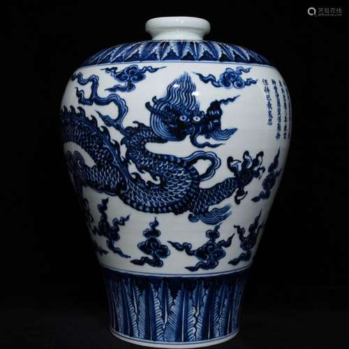 Blue and white dragon mei bottles of 42 x32