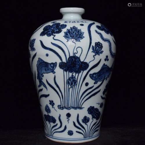 Blue and white fish grain mei bottles of 30 x20