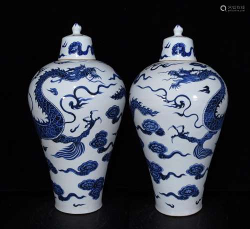 Generation of blue and white dragon plum bottle size 49 * 27...