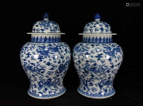 Longfeng general canister to a pair of 44 ✘ cm12000 25