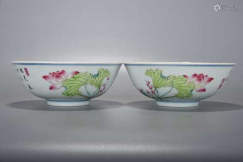 Pastel lotus pattern bowl